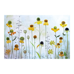 Helenium